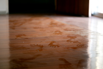 A spoor on the wooden floor from walking in the house reflecting to house keeperâ€™s cleaning...