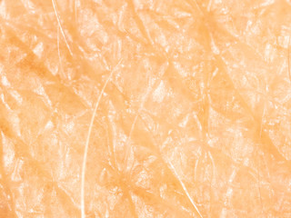 Fototapeta premium Human skin as a background