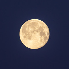 Yellow moon in the evening sky