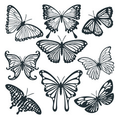 Fototapeta na wymiar butterfly beautiful and high quality detail for paper craft, cutting machine and printable vector file design