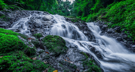 waterfall in the forest