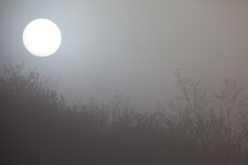 Fototapeta premium słońce wokół mgły