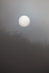 Obraz premium słońce wokół mgły