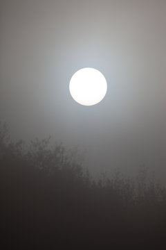 sun around fog © rokacaptain