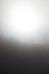 Obraz premium sun around fog