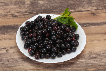 Fresh ripe sweet black currant