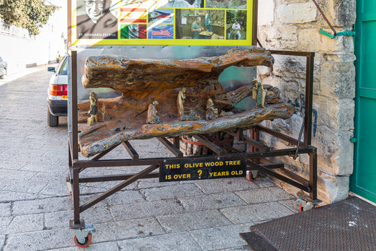The biblical scene of the birth of God son made of olive wood is located near the souvenir shop in Bethlehem in Palestine