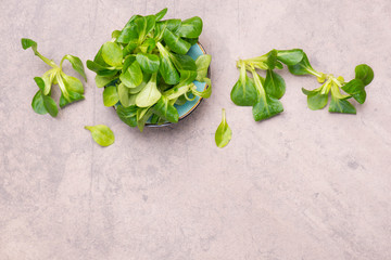 Lamb´s lettuce on a brown textured background, empty copy space