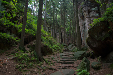 The Prachov Rocks (Czech: Prachovské skály), rock formation in the Czech Republic approximately 5 kilometres west of Jicin. Since 1933, they have been a protected natural reserve.