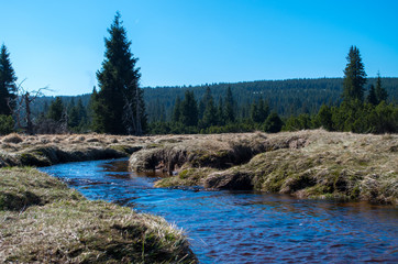 Jizera stream near to settlement Jizerka in Czech Republic