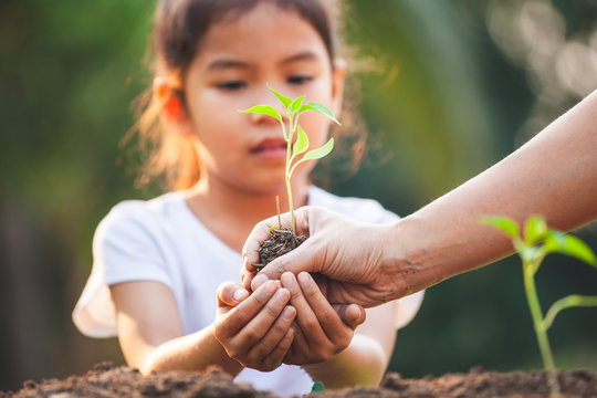 Cute Asian Child Girl And Parent Planting Young Seedlings In The Black Soil Together In The Garden With Fun