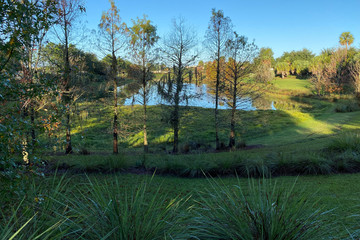 river lake pond forest park