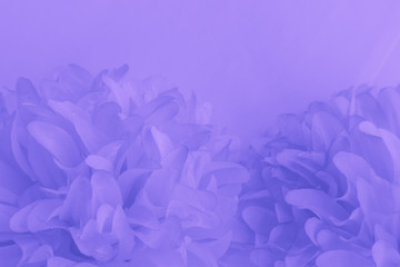 Beautiful abstract color purple and blue flowers on white background and light purple flower frame...