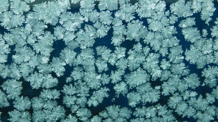 Background - frosty pattern of ice snowflakes on the glass