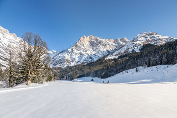 Fototapeta na wymiar Sunny winter landscape in the nature: Mountain range, snowy trees, sunshine and blue sky