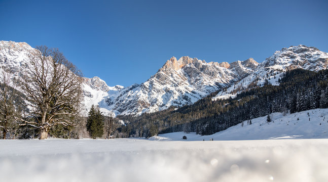 Sunny winter landscape in the nature: Mountain range, snowy trees, sunshine and blue sky