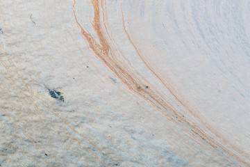 Algas y espuma sobre agua dulce estancada. Contaminación. Residuos.