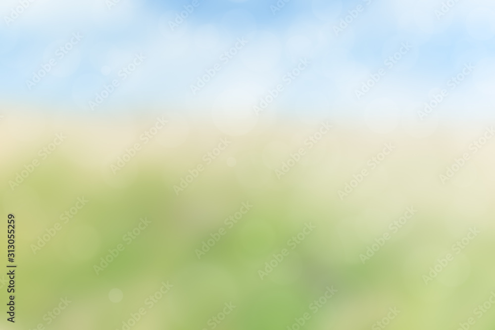 Poster soft and blurred natural summer or springtime landscape with bokeh and copy space. high resolution f
