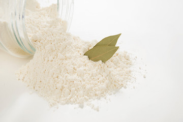 Practical solution; add bay leaf to your flour to keep them last longer. 