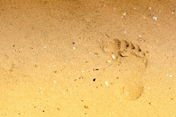 Footprint in the Sand on beach