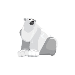 Polar bear on a white background. Illustration of a bear. Rare wild animal sitting vector