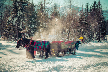 Horse drawn carriage in winter: Steam in the morning sun, Austria - Powered by Adobe