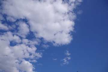 青い空