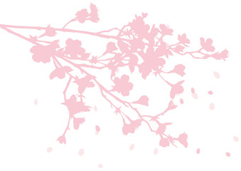 桜の枝と花びらシルエット © まるまる
