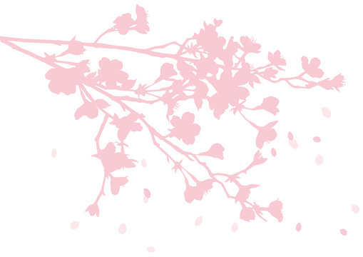11 871 最適な Cherry Blossom Silhouette 画像 ストック写真 ベクター Adobe Stock 11 871 最適な Cherry Blossom Silhouette 画像 ストック写真 ベクター Adobe Stock