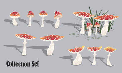 Amanita mushrooms. Set of vector images for design. Vector illustration.