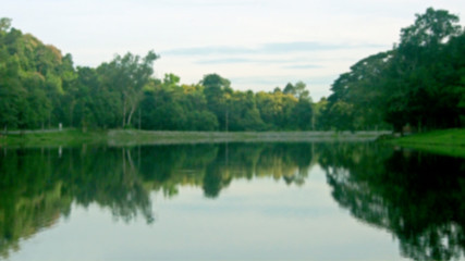 Forests and lakes