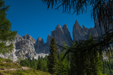 Alto Adige Nature Outdoor sunny day