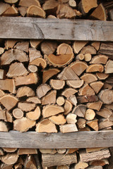 Stack of firewood ready for winter season