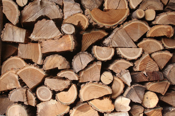 Stack of firewood ready for winter season