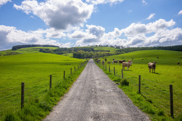 Ecosse