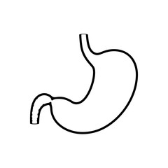 Vector isolated illustration of stomach
