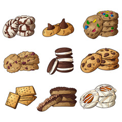 Set of different cookies on isolated white background. Traditional pastry. Vector illustration