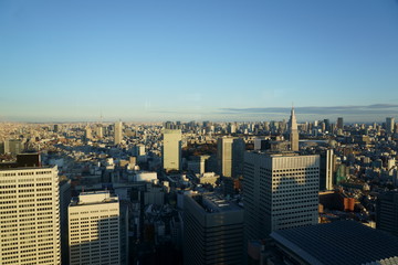 A view from above Tokyo