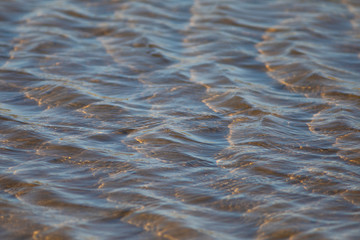 Corriente de agua en una playa