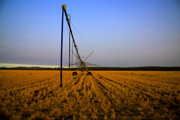 Agriculture at dusk 