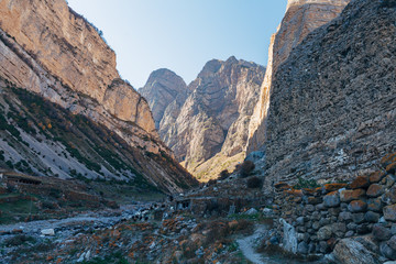 Sheep flock grazing on autumn mountains. Chegem canyon, Russia