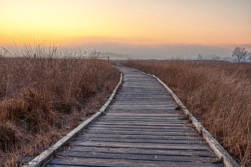 Obraz premium Wooden path through the swamp