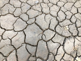 Cracked Earth Texture in Rural Tropics