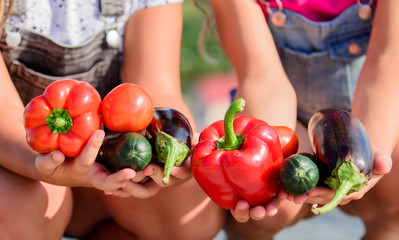 Healthy lifestyle. Farmers hold peppers eggplants and cucumbers. Farmer presenting organic...
