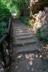 Stone Stairway in Forrest 