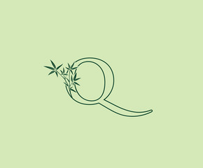 Bamboo Q Letter logo , Green Q Bamboo Plant  icon design