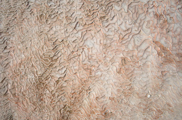 Texture of white travertinne close up in Pamukkale. Pamukkale limestones pattern. Turkey.
