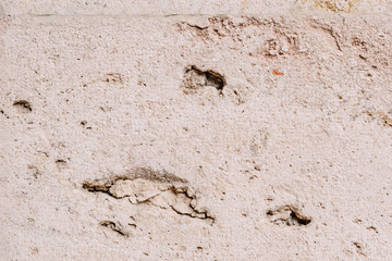 A cracked cover on the wall. Abstract construction background