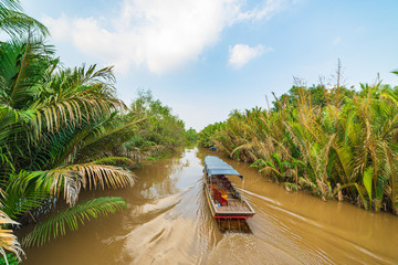 Boat tour in the Mekong River Delta region, Ben Tre, South Vietnam. Wooden boat on cruise in the water canals through coconut palm trees plantation.
