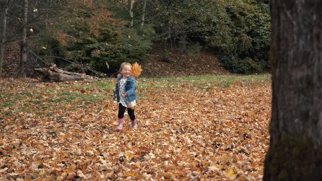 Slow Motion Little Girl Gathering and Throwing Autumn Season Maple Leaves